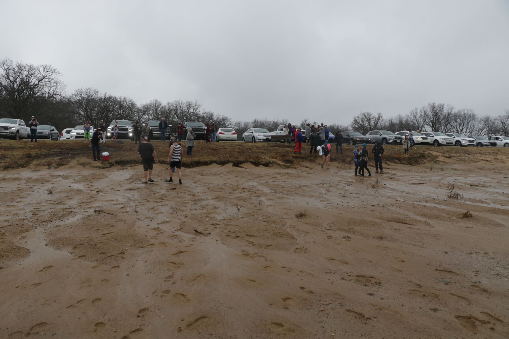 Polar Plunge